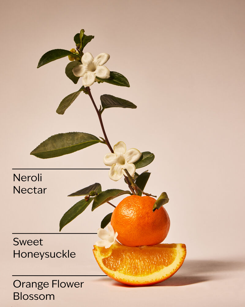 Backyard Honeysuckle 3-Wick Candle เทียนหอม 3 ไส้