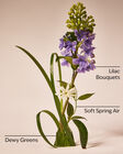 Fresh Cut Lilacs Cleansing Gel Hand Soap image number null