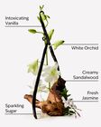Warm Vanilla Sugar Creamy Body Scrub image number null