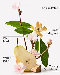 Forever Cherry Blossom Fine Fragrance Mist image number null