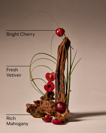 Mahogany Cherry Wallflowers Fragrance Refill รีฟิลวอลล์ฟลาวเวอร์