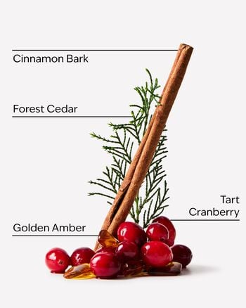 Cranberry Woods 3-Wick Candle เทียนหอม 3 ไส้