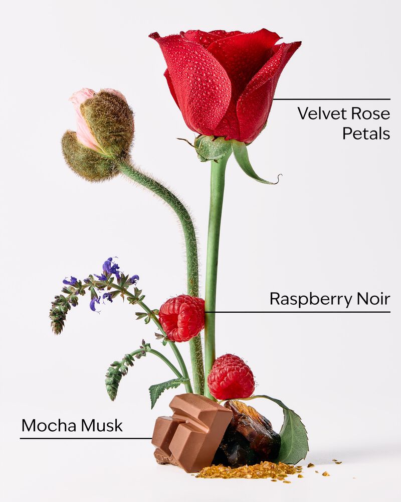 Into the Night Ultimate Hydration Body Cream Ultimate Hydration Body Cream