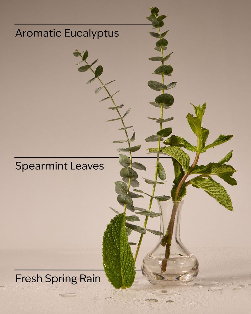 Eucalyptus Rain Concentrated Room Spray สเปรย์ปรับอากาศห้อง