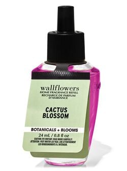 Cactus Blossom Wallflowers Fragrance Refill image number null