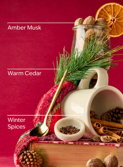 Cozy Winter Cottage Gentle & Clean Foaming Hand Soap