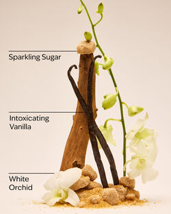 Warm Vanilla Sugar Travel Size Ultimate Hydration Body Cream