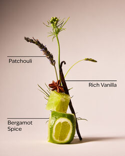 Vanilla Noir 3-in-1 Hair, Face & Body Wash image number null