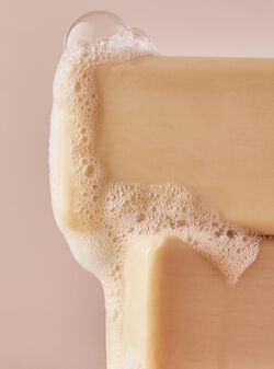 Champagne Toast Shea Butter Cleansing Bar image number null