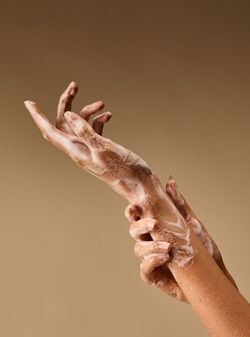 Pineapple Mango Foaming Hand Soap image number null