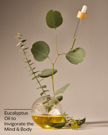 Eucalyptus Body Lotion บอดี้โลชั่น