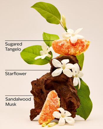 In The Stars Moisturizing Body Wash สบู่อาบน้ำบำรุงผิว