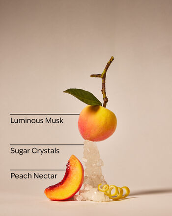 Zesty Peach Travel Size Fine Fragrance Mist มิสต์ขนาดพกพา