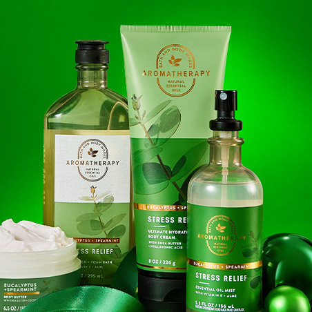 ผลิตภัณฑ์ Wellness