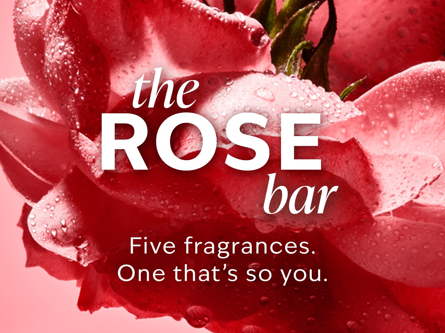 body-spray-and-mists