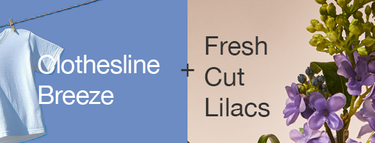 Clothesline Breeze + Fresh Cut Lilacs