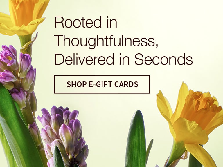 Shop our Top Fragrances