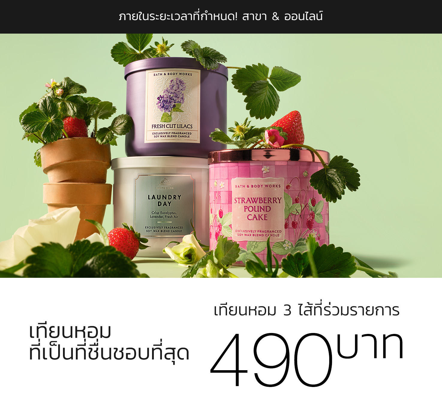  3-Wick Candles, 1 for THB490