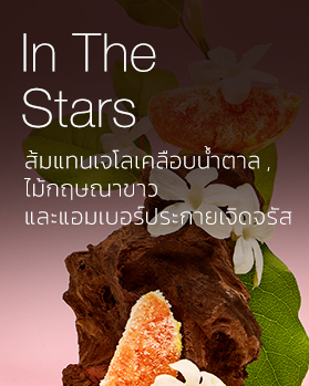 In The Stars 