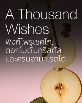 A Thousand Wishes